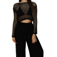 Long Sleeve Mesh Top