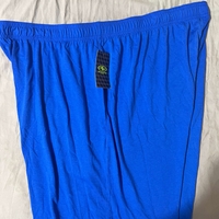 NET Mens xxl Athletic Blue Shorts