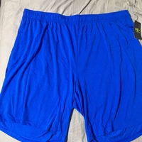 NET Mens xxl Athletic Blue Shorts